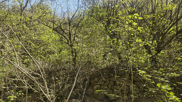 B0004212025013000062923.jpg