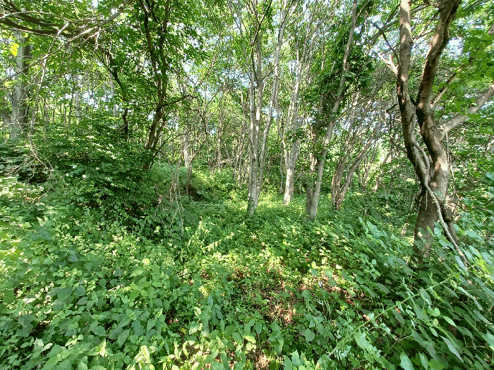 B0004212025013000063425.jpg