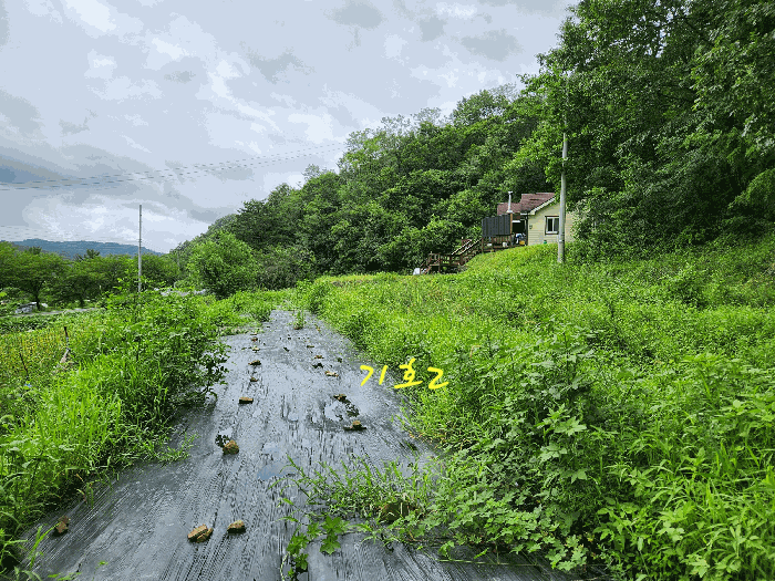 B0004212025013000084828.jpg