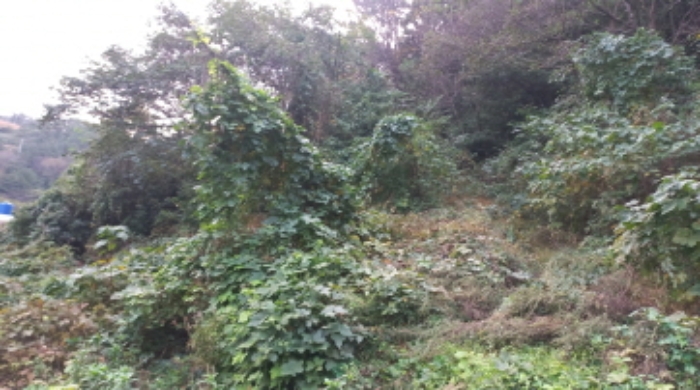 B000422202401300049044.jpg