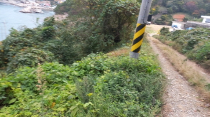 B000422202401300049041.jpg