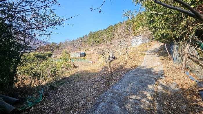 B000422202401300328174.jpg