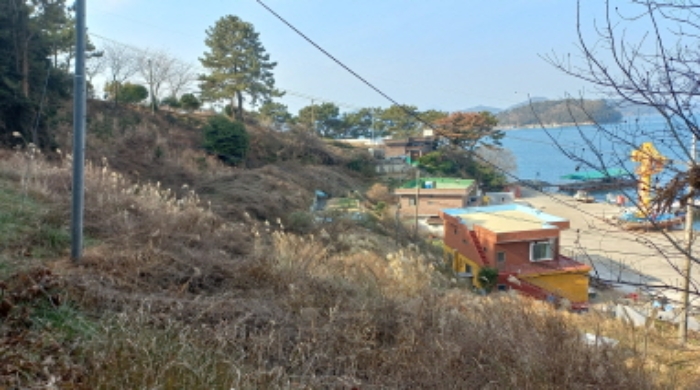 B000422202501300200882.jpg