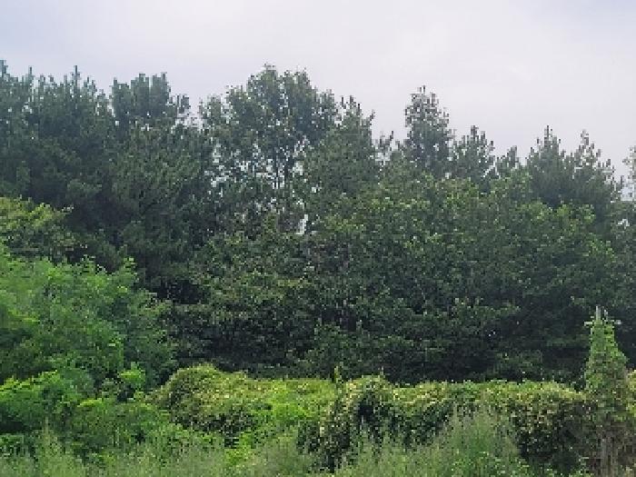 B000422202501300217302.jpg