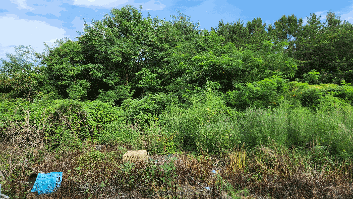 B000422202501300217304.jpg