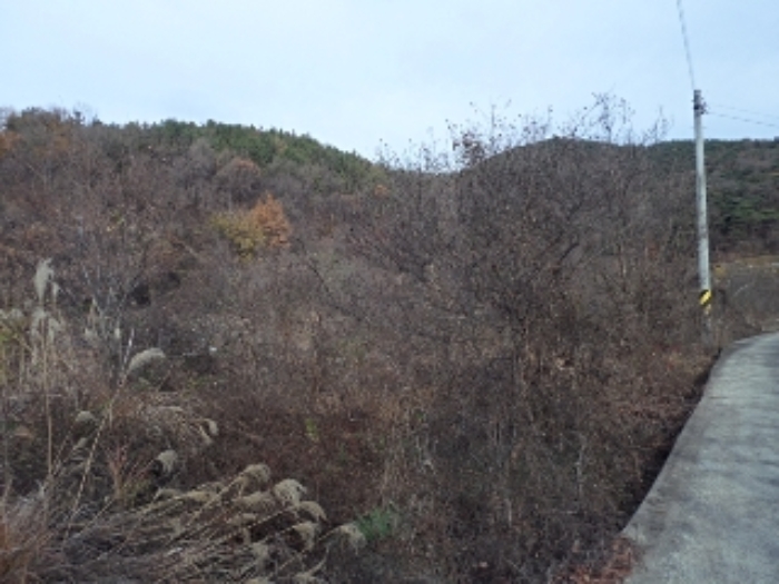 B000423202201300019972.jpg