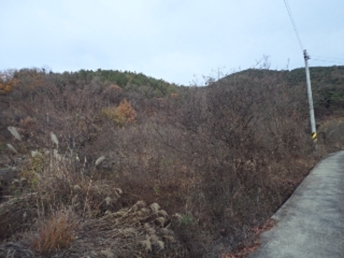 B000423202201300019971.jpg