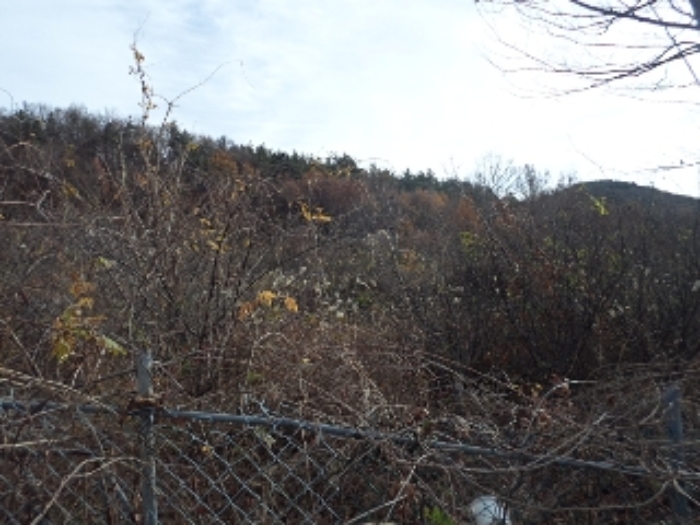 B000423202201300019974.jpg