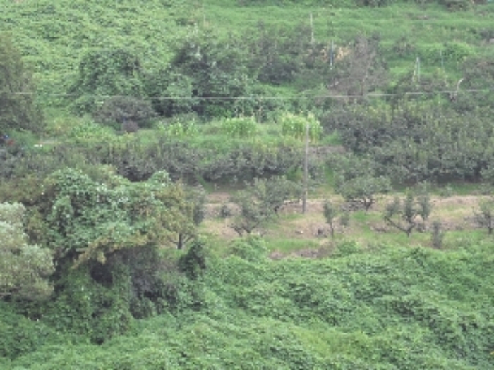B000423202301300014514.jpg
