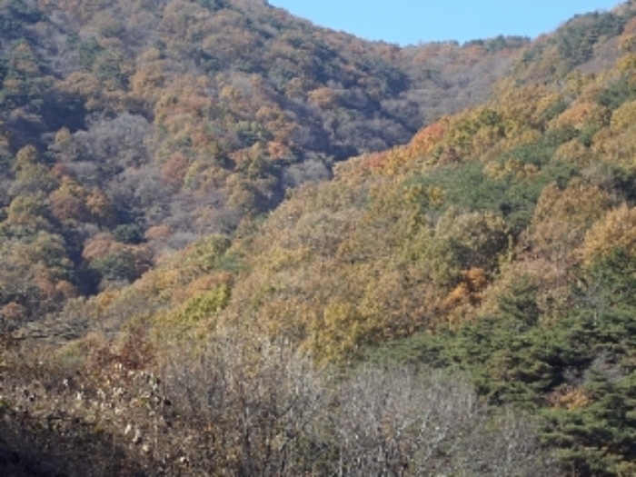 B000423202301300129184.jpg