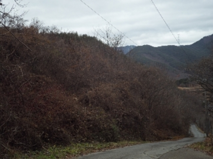 B000423202301300132322.jpg