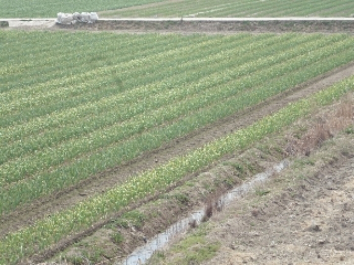 B000423202401300003324.jpg