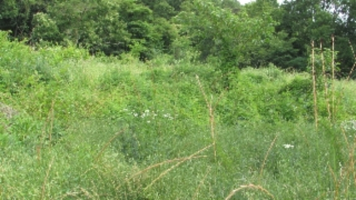 B000423202401300011441.jpg