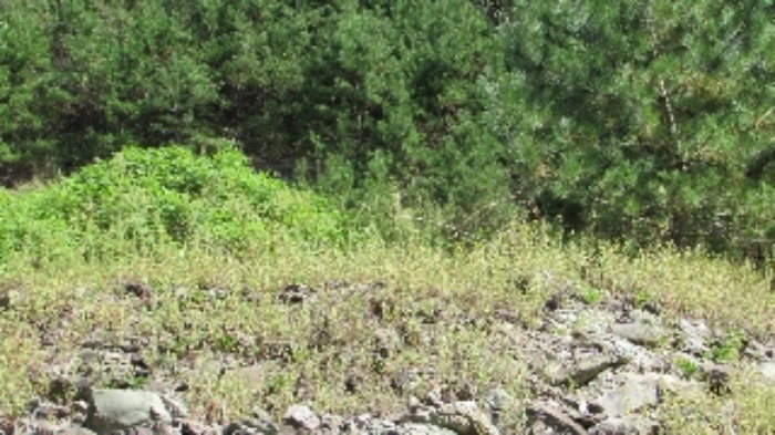 B000423202401300021161.jpg