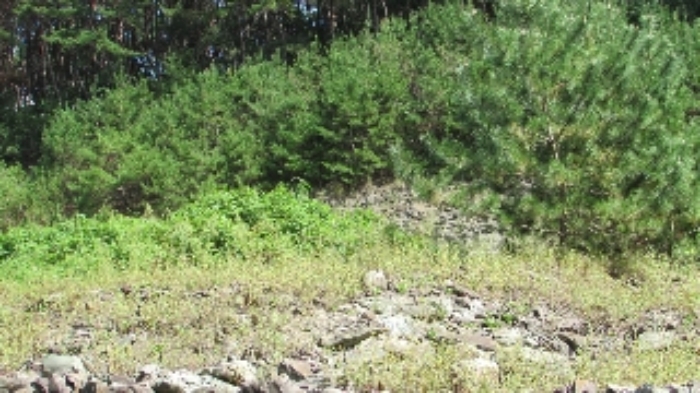 B000423202401300021162.jpg