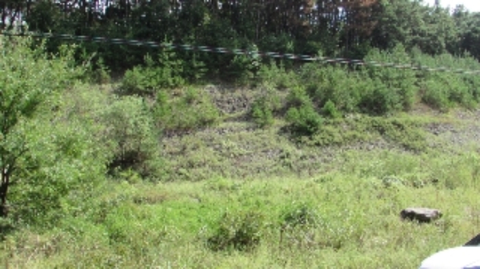 B000423202401300021164.jpg