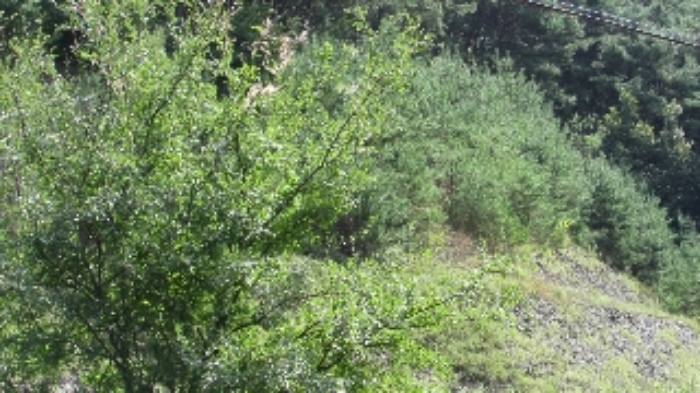 B000423202401300021163.jpg