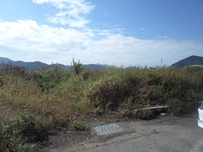 B000423202401300126632.jpg