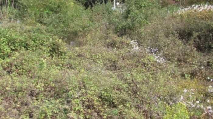 B000423202401300128781.jpg