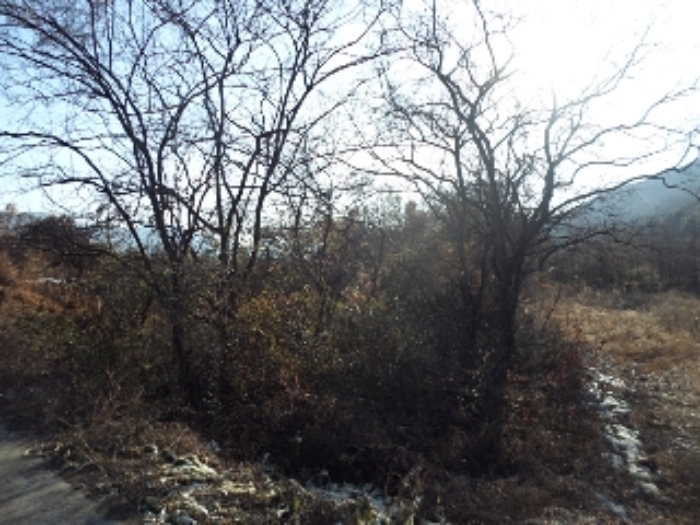 B000423202401300134824.jpg