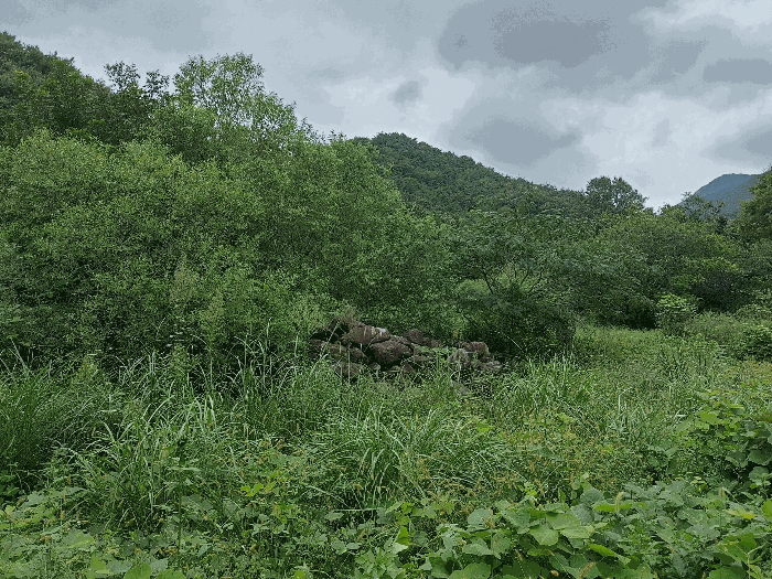 B0004232025013000186811.jpg