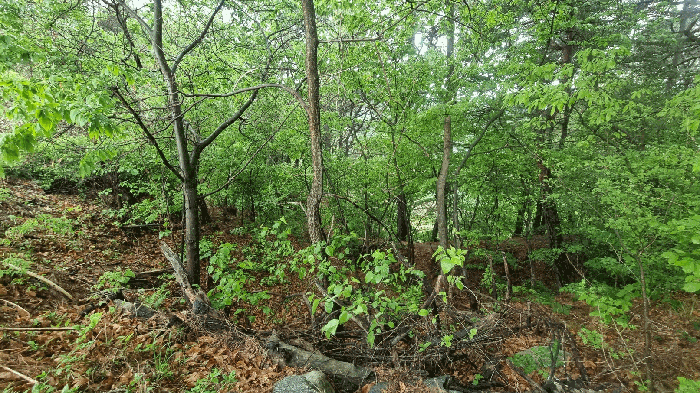 B000424202501300004244.jpg