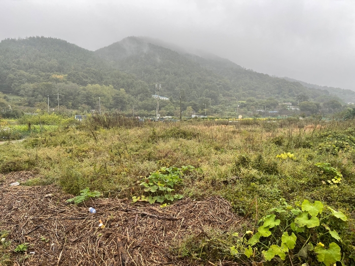 경상남도 창원시 마산합포구 구산면 난포리 319