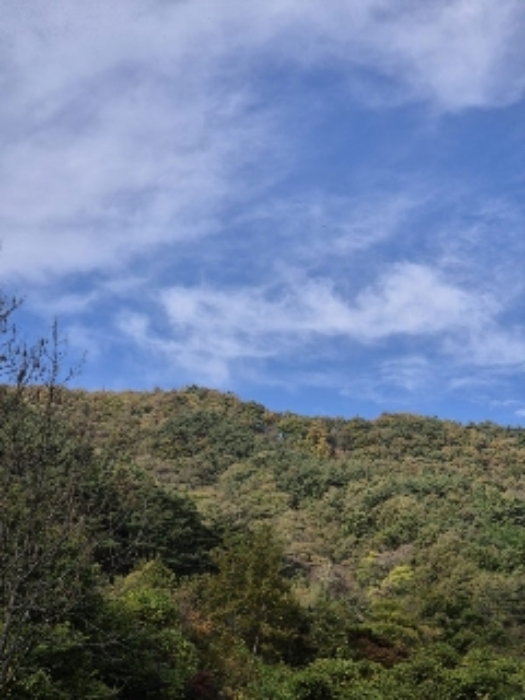 B0005102024013000806332.jpg