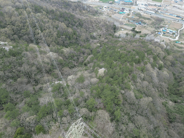 B000511202501300510185.jpg