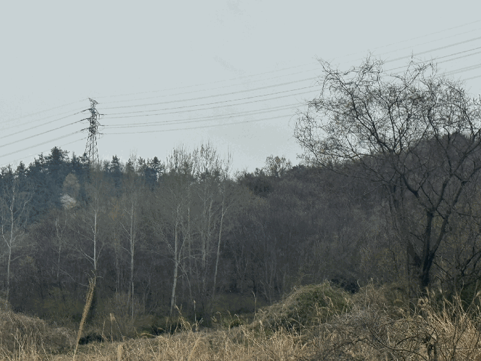 B000511202501300510186.jpg