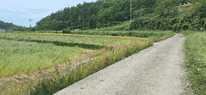B000512202501300052585.jpg