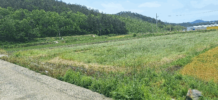 B000512202501300052586.jpg
