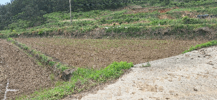 B000512202501300052587.jpg