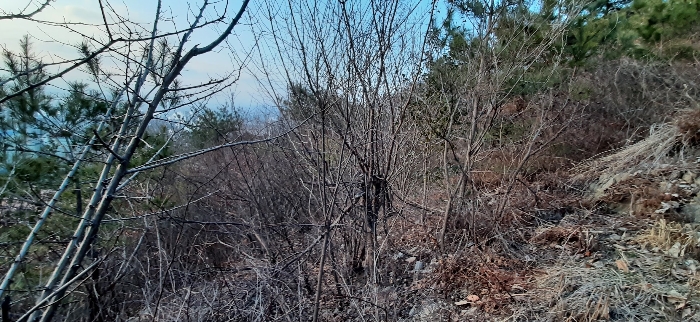 B000513202401300515474.jpg