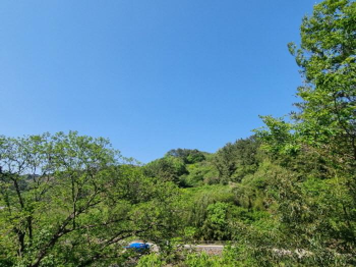 B000513202501300004213.jpg