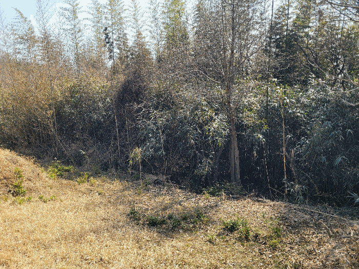 B000513202501300511775.jpg
