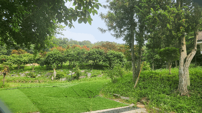 B0005132025013005169420.jpg