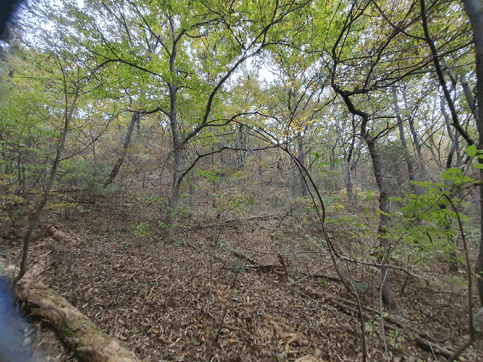 B0005132025013005199538.jpg