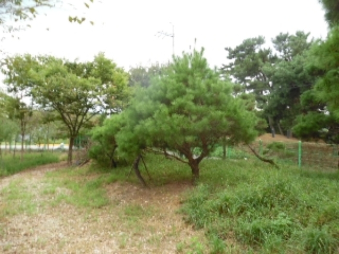 B000520202401300038811.jpg