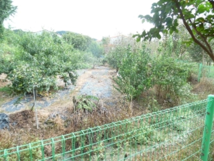 B000520202401300038813.jpg