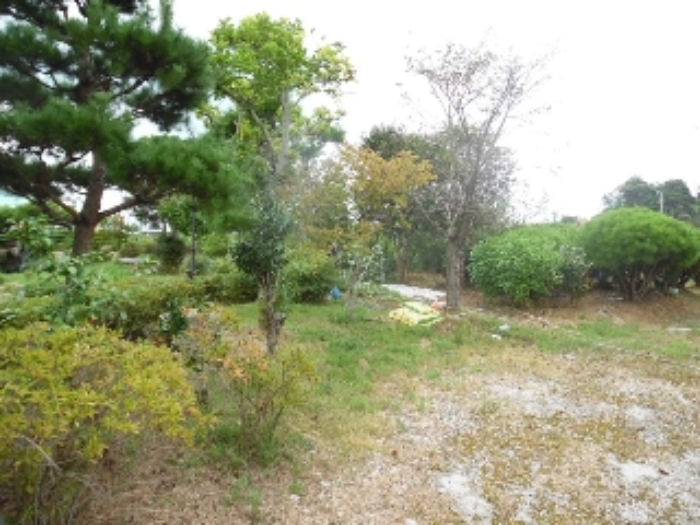 B000520202401300038814.jpg