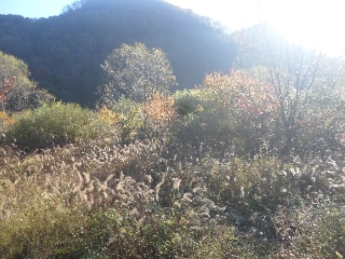 B000520202401300053991.jpg