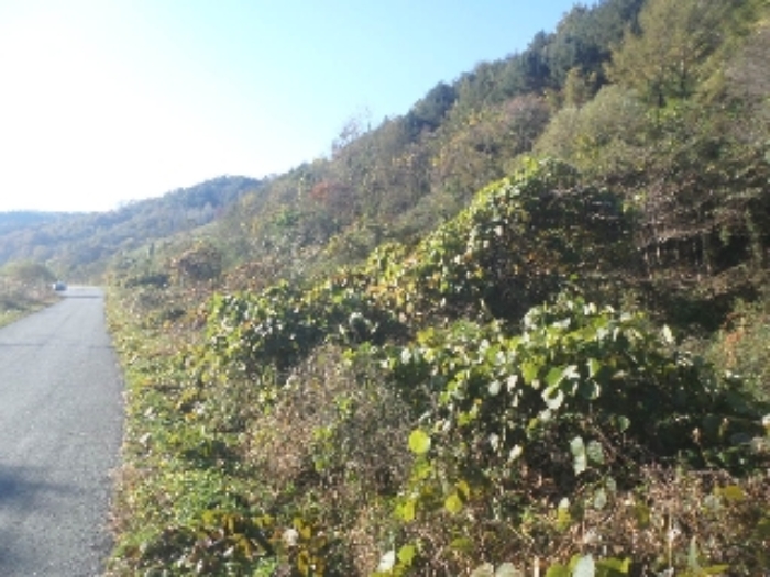 B000520202401300053992.jpg