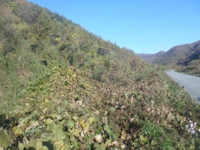 B000520202401300053993.jpg