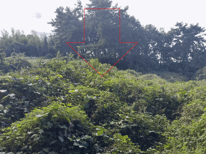 B0005222025013003044717.jpg