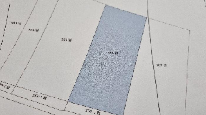 B000523202501300011505.jpg