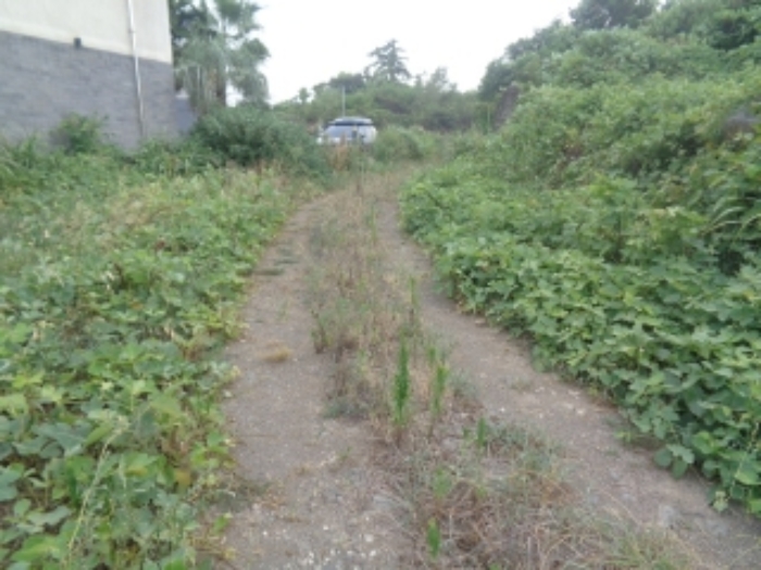 B000530202401300086929.jpg