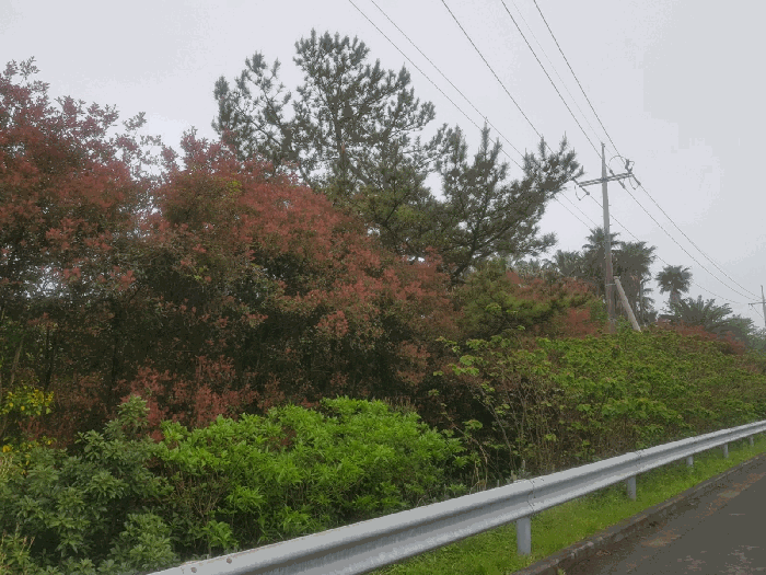 B000530202501300011674.jpg