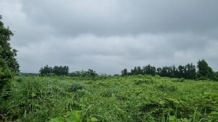 B000530202501300014391.jpg