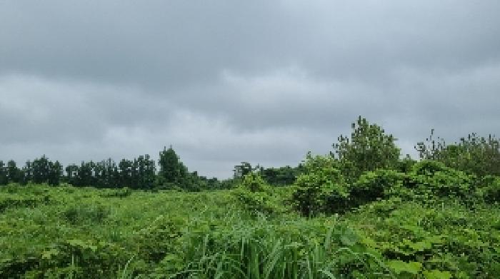 B000530202501300014392.jpg